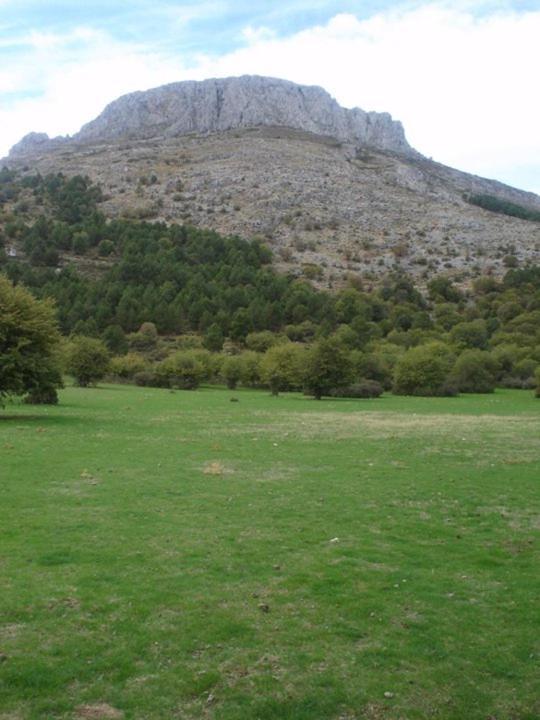 Casa Rural Casa Gonzalo Affittacamere Bélmez de la Moraleda Esterno foto